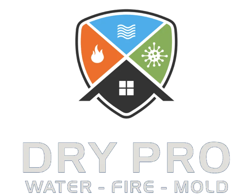 DryPro Flood